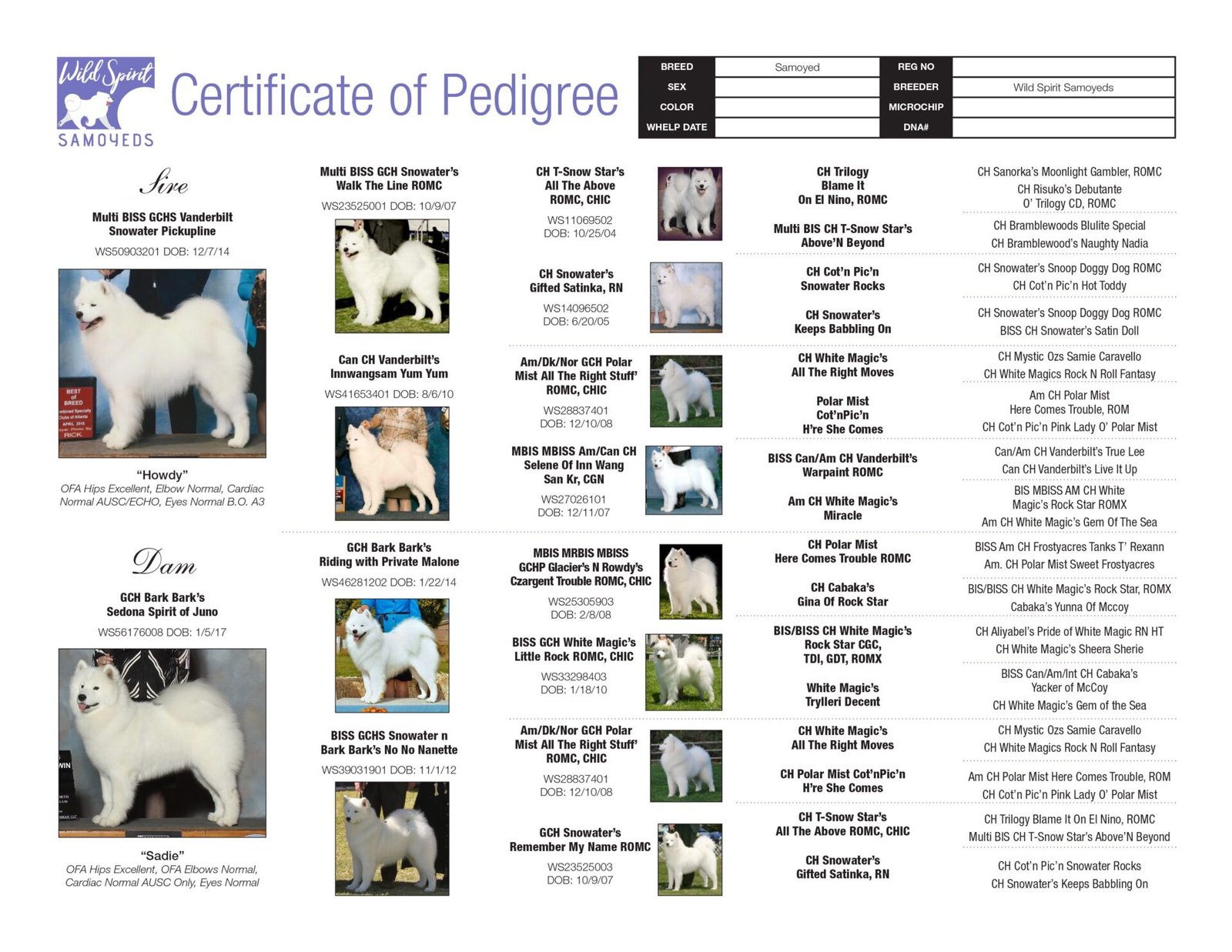 Pedigree-Wild Spirit's Cloud Splitter of Essex