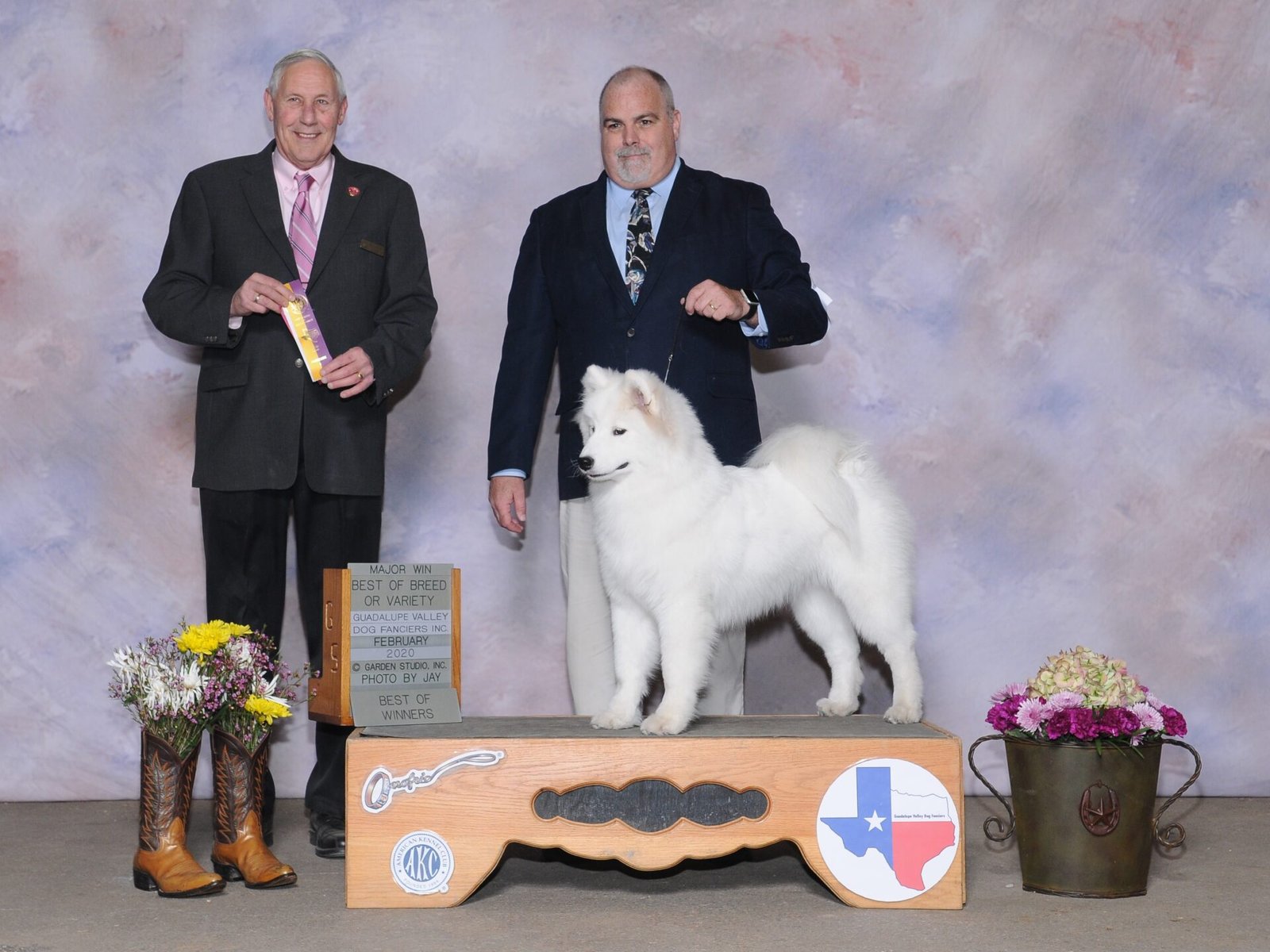 Wild Spirit Samoyeds Marcy's first major. BOB over Specials
