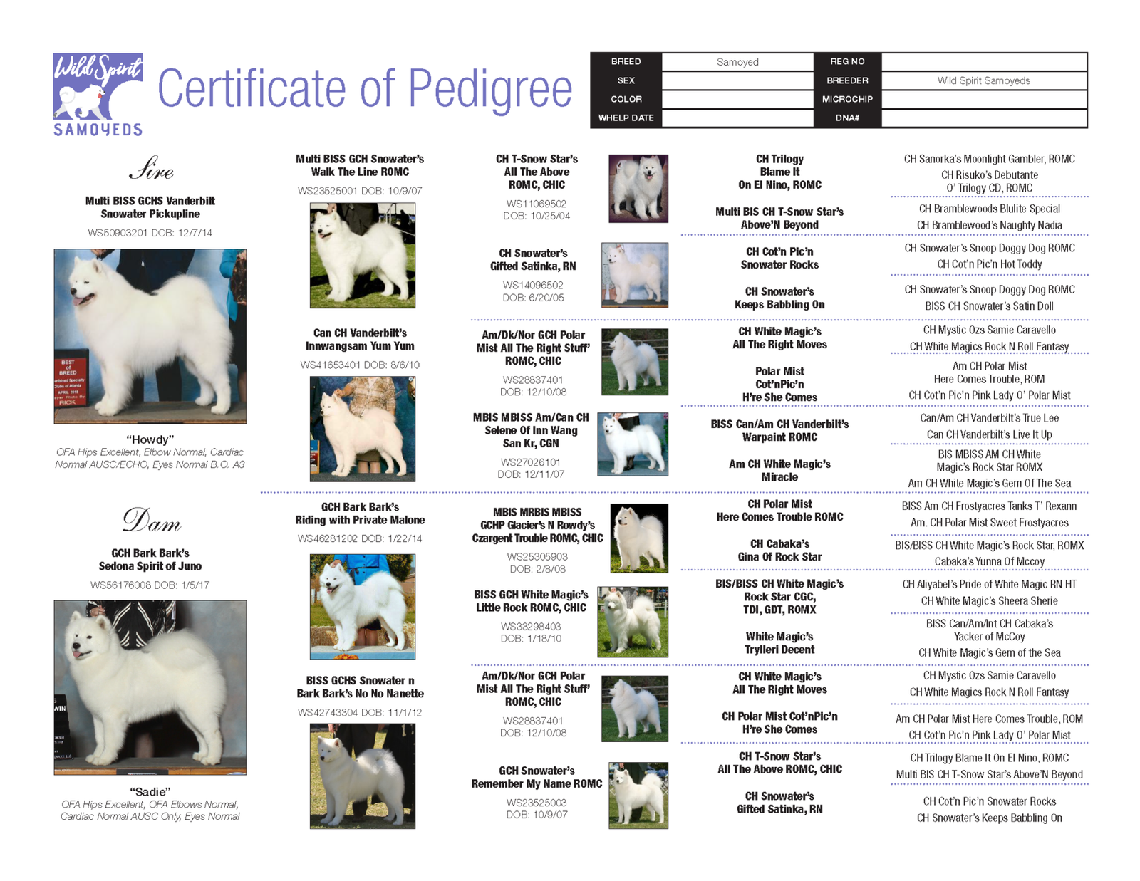 Wild Spirit Samoyeds 2019 little pedigree-Sadie x Howdy