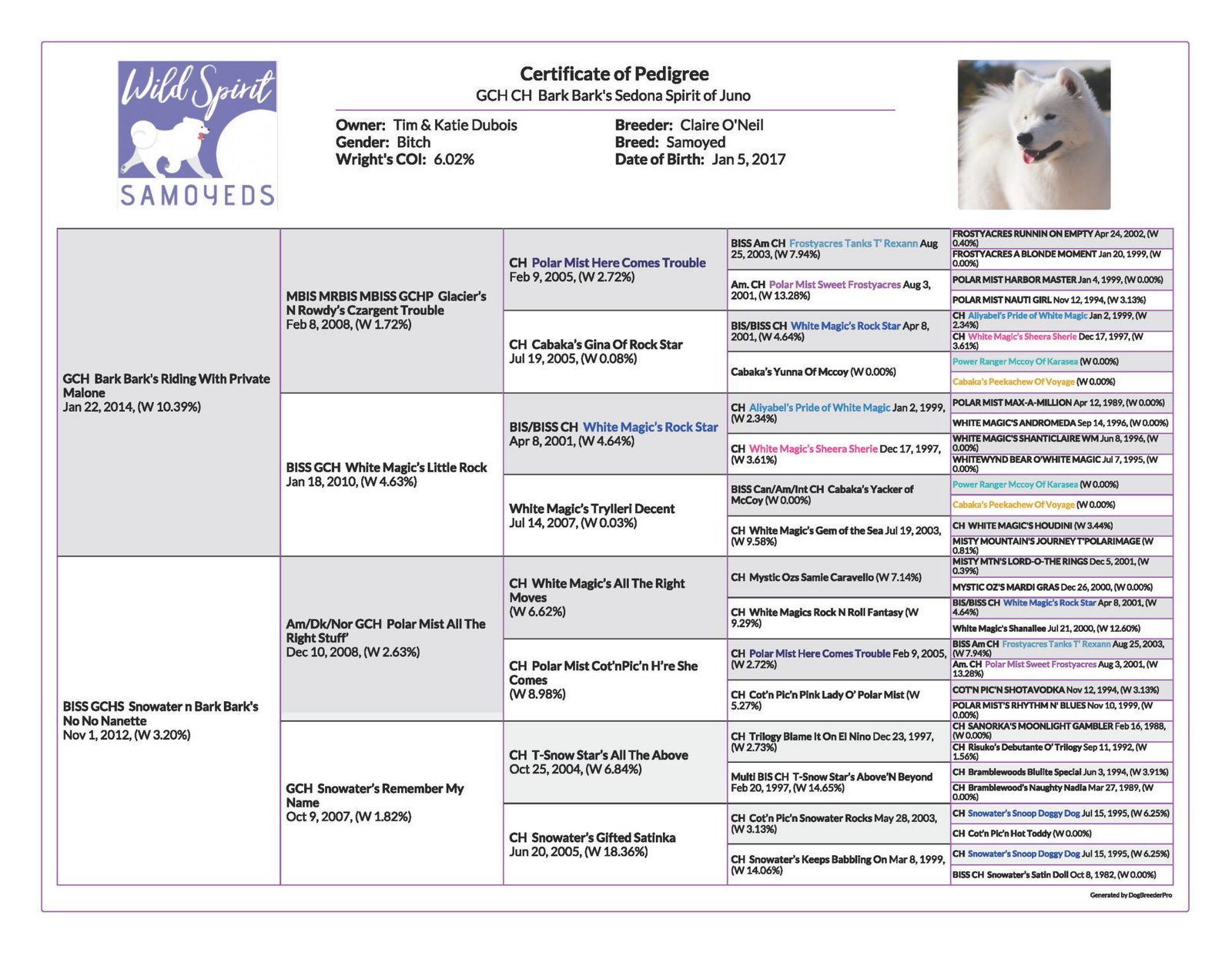 Wild Spirit Samoyeds Foundation pedigree-Sadie