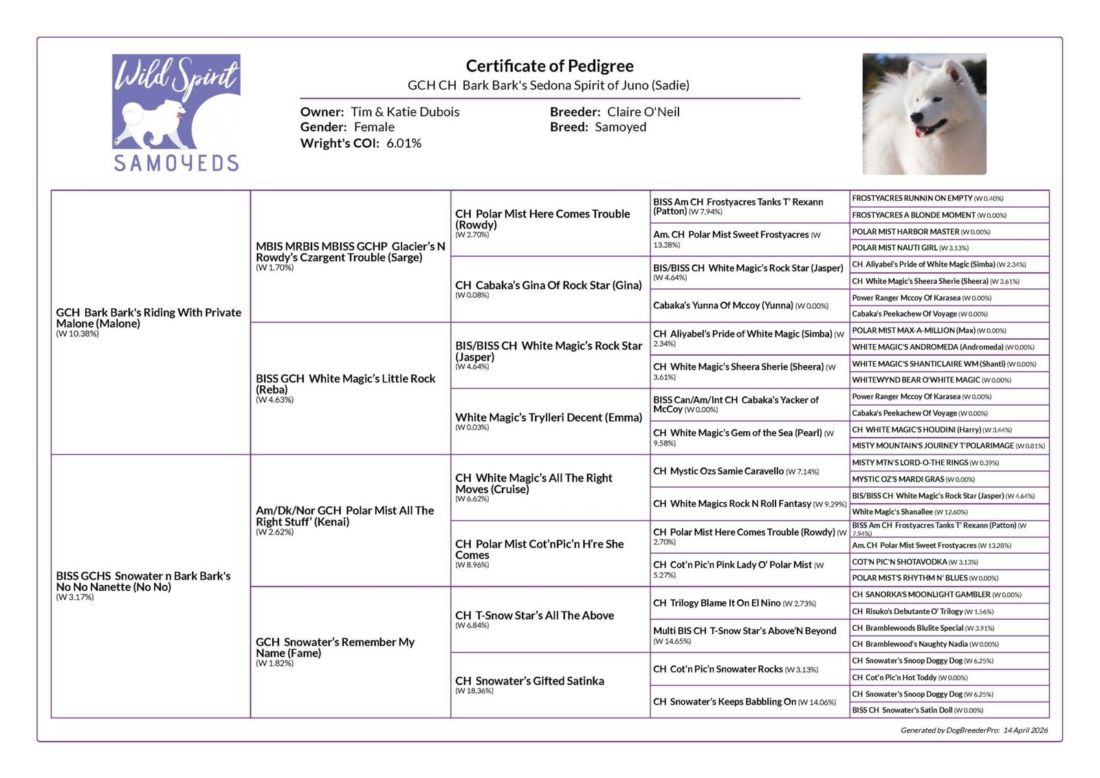 Sadie pedigree