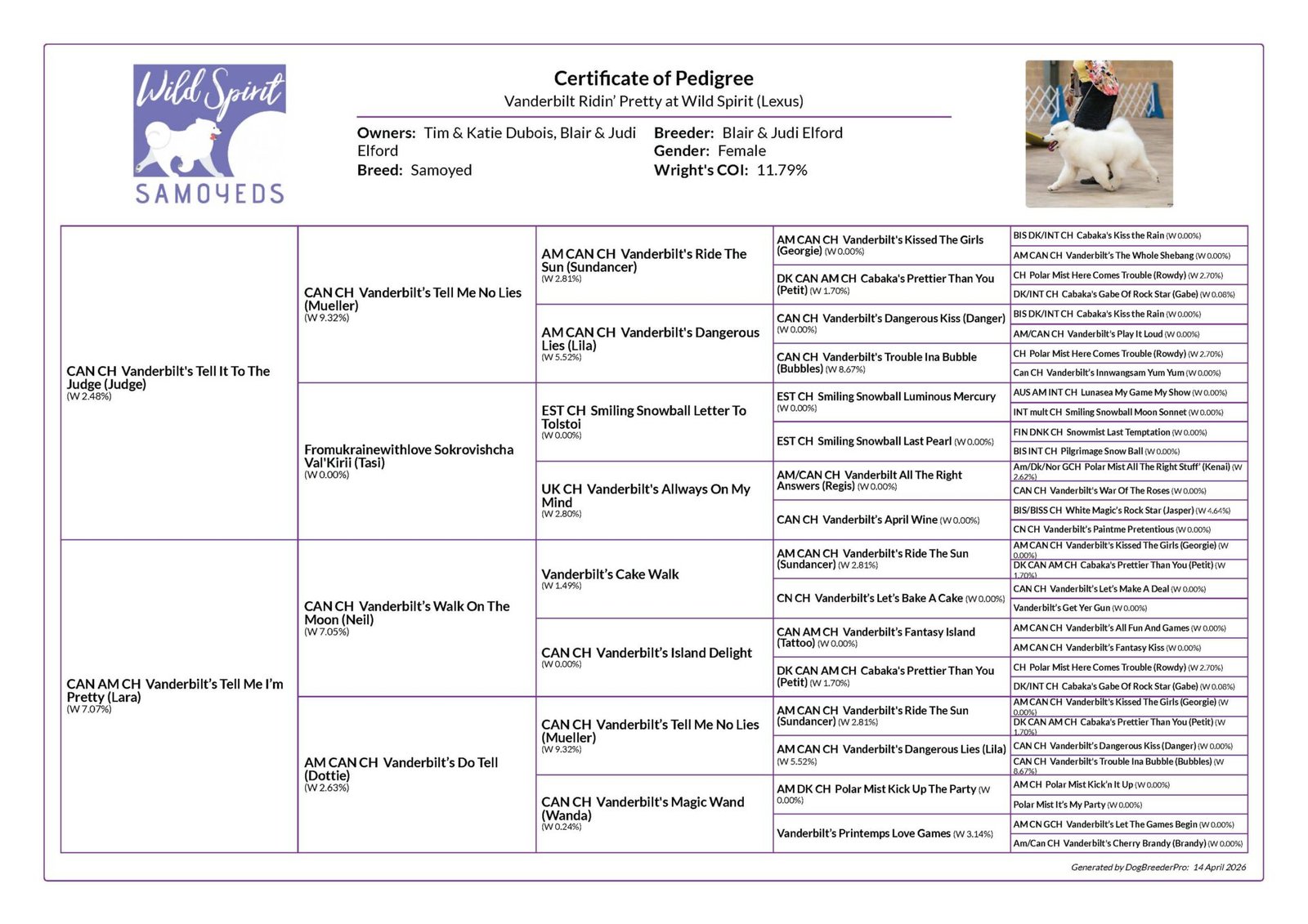 Lexus pedigree