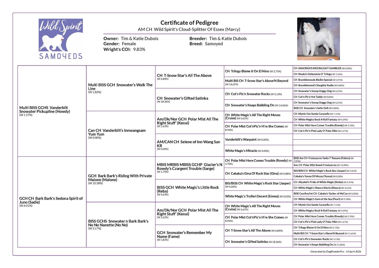 Marcy pedigree